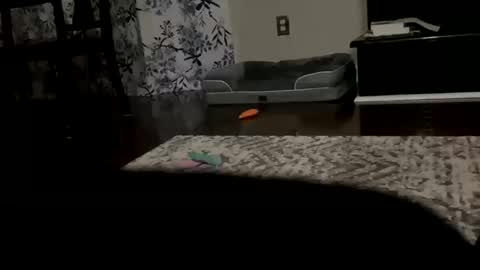 Snapshot of dannyboy621 chatting on October 20, 2025, 9:43 am dannyboy621 online show from October 20, 2025, 9:43 am