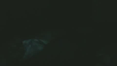 Snapshot of dare2do1 chatting on November 18, 2025, 7:29 pm dare2do1 online show from November 18, 2025, 7:29 pm