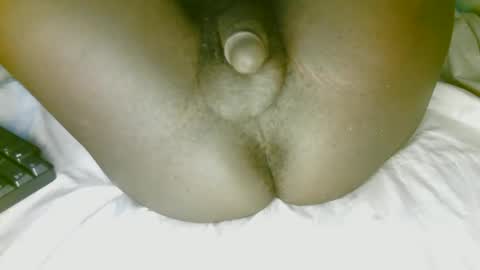 delightsweet online show from November 7, 2025, 5:02 pm