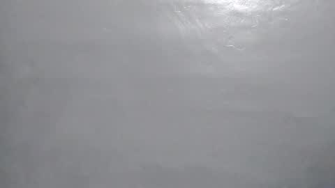 Snapshot of desturbingdetale699 chatting on January 10, 2025, 5:26 am desturbingdetale699 online show from January 10, 2025, 5:26 am