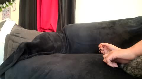 Snapshot of dickies6969 chatting on September 20, 2025, 5:47 pm dickies6969 online show from September 20, 2025, 5:47 pm