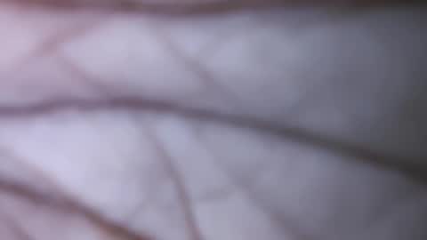 Snapshot of dicks_balls chatting on December 1, 2024, 7:47 pm Dick balls online show from December 1, 2024, 7:47 pm