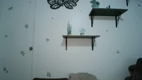 Snapshot of dickslayerdan chatting on January 25, 2025, 8:21 pm dickslayerdan online show from January 25, 2025, 8:21 pm