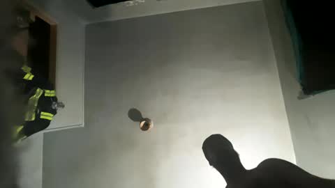 dickybigball online show from October 9, 2025, 11:52 am