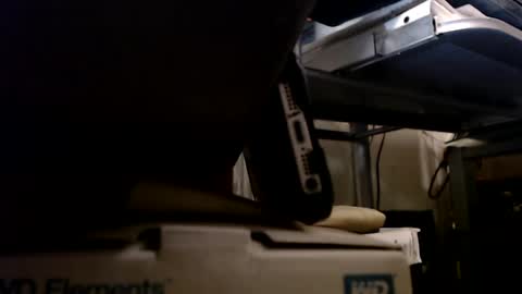 Snapshot of digbird1 chatting on January 13, 2025, 1:13 am dbNorth online show from January 13, 2025, 1:13 am