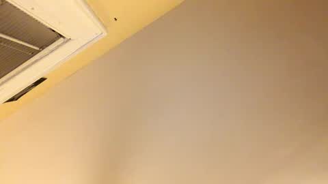 Snapshot of dinglerdingler chatting on December 8, 2024, 11:19 pm Dingler online show from December 8, 2024, 11:19 pm