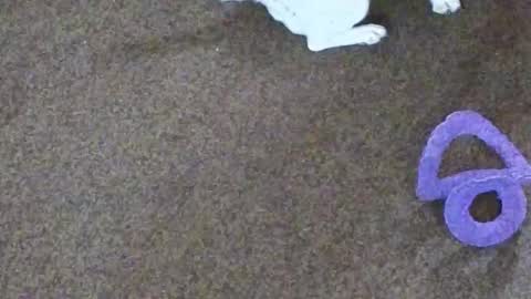 Snapshot of dollniki chatting on October 29, 2025, 10:06 am Niki Doll online show from October 29, 2025, 10:06 am