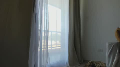 Snapshot of donnna19 chatting on February 10, 2025, 12:08 pm Donatella online show from February 10, 2025, 12:08 pm