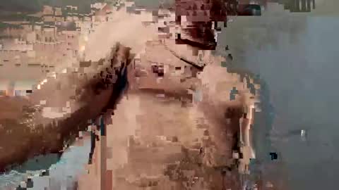 Snapshot of dvsshoes12 chatting on October 12, 2025, 11:26 pm dvsshoes12 online show from October 12, 2025, 11:26 pm