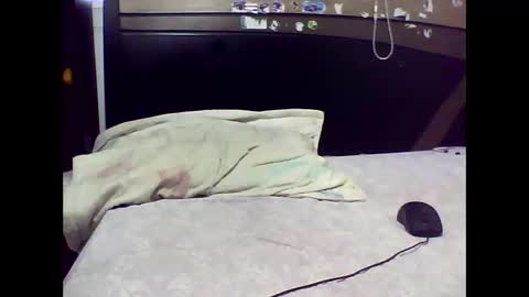 Snapshot of ed_big_cock chatting on November 2, 2025, 7:05 pm Edd Gallego online show from November 2, 2025, 7:05 pm