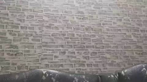 Snapshot of edithmanning chatting on December 12, 2024, 6:47 am edithmanning online show from December 12, 2024, 6:47 am