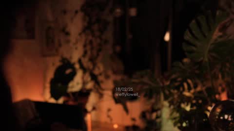 Snapshot of effylowell_ chatting on February 19, 2025, 12:46 am Effy online show from February 19, 2025, 12:46 am