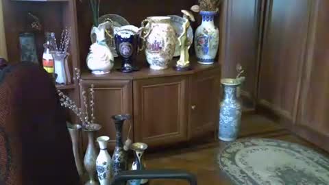 Snapshot of elenazed chatting on October 13, 2025, 11:43 am ElenaZed online show from October 13, 2025, 11:43 am