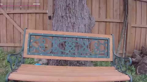 Snapshot of ells_palace chatting on September 13, 2025, 5:13 pm Ella Bella Bo Bella online show from September 13, 2025, 5:13 pm