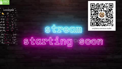 Snapshot of eva69muller chatting on January 11, 2025, 9:15 am Eva  next show  8pm CEST AMST online show from January 11, 2025, 9:15 am