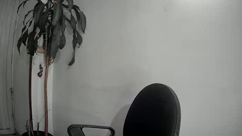 Snapshot of evacollins12 chatting on December 9, 2024, 1:40 am evacollins12 online show from December 9, 2024, 1:40 am
