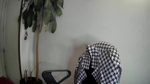 Snapshot of evacollins12 chatting on January 7, 2025, 3:46 am evacollins12 online show from January 7, 2025, 3:46 am