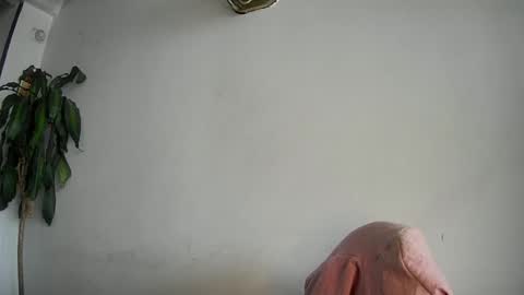 Snapshot of evacollins12 chatting on February 15, 2025, 7:50 pm evacollins12 online show from February 15, 2025, 7:50 pm