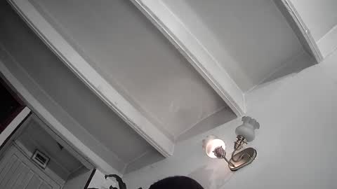 Snapshot of evacollins12 chatting on February 25, 2025, 12:36 am evacollins12 online show from February 25, 2025, 12:36 am