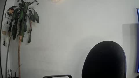 Snapshot of evacollins12 chatting on March 12, 2025, 2:41 am evacollins12 online show from March 12, 2025, 2:41 am
