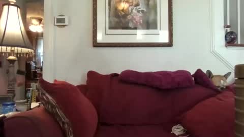 Snapshot of fairmount31 chatting on October 21, 2025, 1:56 pm fairmount31 online show from October 21, 2025, 1:56 pm