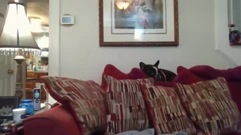 Snapshot of fairmount31 chatting on November 1, 2025, 10:12 pm fairmount31 online show from November 1, 2025, 10:12 pm