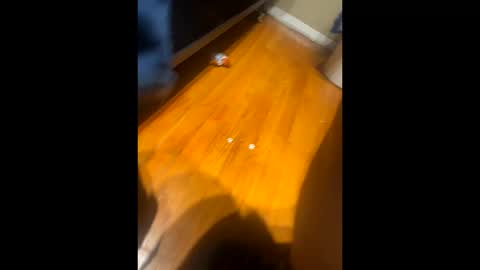 Snapshot of fatz71056 chatting on October 16, 2025, 10:16 am fatz71056 online show from October 16, 2025, 10:16 am