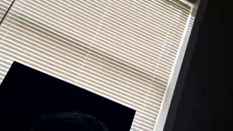 Snapshot of fer28639 chatting on September 24, 2025, 6:00 pm fer28639 online show from September 24, 2025, 6:00 pm