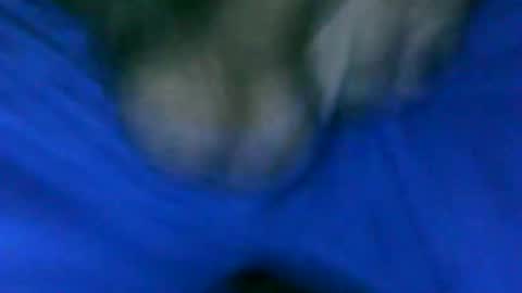 Snapshot of fer_2197 chatting on January 23, 2025, 1:24 pm fer_2197 online show from January 23, 2025, 1:24 pm