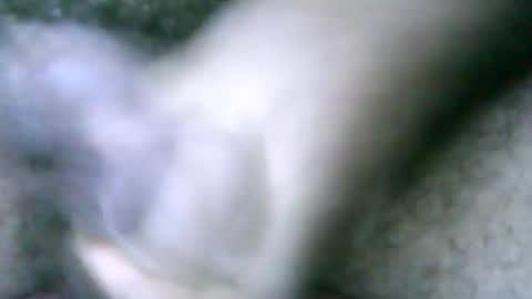 Snapshot of fer_2197 chatting on February 18, 2025, 2:06 pm fer_2197 online show from February 18, 2025, 2:06 pm