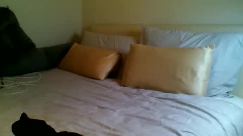 Snapshot of fitbut chatting on September 15, 2025, 7:03 pm Fitbut online show from September 15, 2025, 7:03 pm