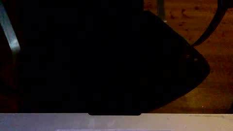 Snapshot of flowmover chatting on December 2, 2024, 8:33 pm flowmover online show from December 2, 2024, 8:33 pm