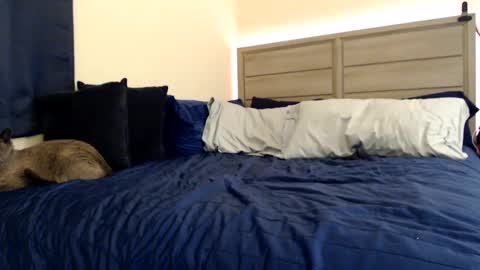 Snapshot of fragilemasochist chatting on December 5, 2024, 3:39 pm Angel online show from December 5, 2024, 3:39 pm