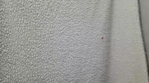 Snapshot of fu338208 chatting on March 12, 2025, 4:41 am fu338208 online show from March 12, 2025, 4:41 am