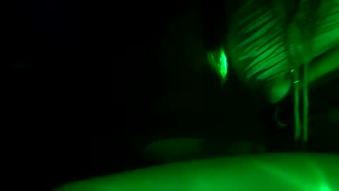 Snapshot of fu338208 chatting on October 30, 2025, 12:17 pm fu338208 online show from October 30, 2025, 12:17 pm