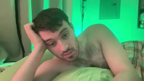 Snapshot of gargoyle_blog chatting on January 1, 2025, 12:11 am Gargoyle online show from January 1, 2025, 12:11 am