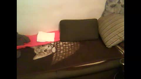 Alex39 online show from February 7, 2025, 5:41 am
