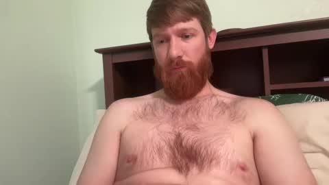 Snapshot of gingermania10 chatting on December 19, 2024, 7:40 pm gingermania10 online show from December 19, 2024, 7:40 pm