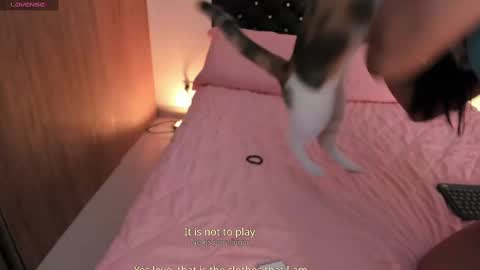 Snapshot of goddess_eli77 chatting on October 4, 2025, 2:53 am goddess_eli77 online show from October 4, 2025, 2:53 am