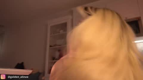 Snapshot of golden_alinee chatting on February 23, 2025, 9:59 pm Aline meow   online show from February 23, 2025, 9:59 pm