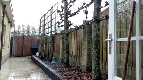 Snapshot of goldenelixxxir chatting on December 23, 2024, 12:41 pm   online show from December 23, 2024, 12:41 pm