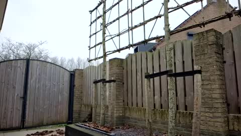 Snapshot of goldenelixxxir chatting on February 10, 2025, 10:09 am   online show from February 10, 2025, 10:09 am