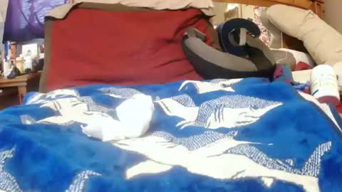 Snapshot of goodbootaye chatting on December 30, 2024, 3:24 pm Juicy Booty online show from December 30, 2024, 3:24 pm