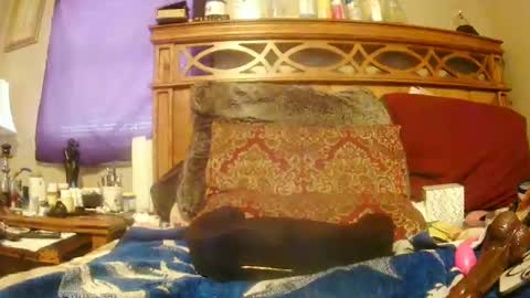 Snapshot of goodbootaye chatting on February 27, 2025, 6:42 pm Juicy Booty online show from February 27, 2025, 6:42 pm