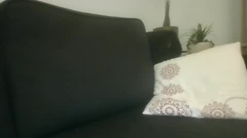 Snapshot of greatdick25700 chatting on September 8, 2025, 8:19 pm greatdick25700 online show from September 8, 2025, 8:19 pm