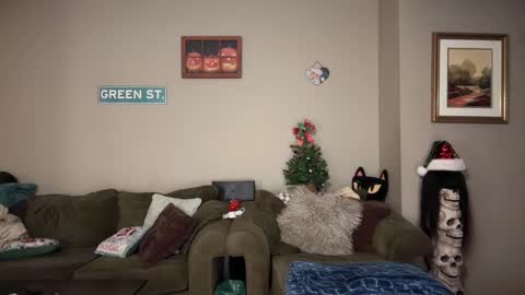 Snapshot of greenxxxqueen chatting on December 22, 2024, 7:00 am SexQueen Nikki online show from December 22, 2024, 7:00 am