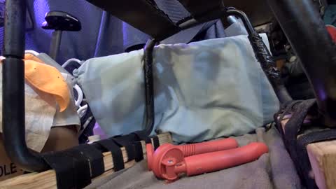 Snapshot of gregbball1 chatting on February 12, 2025, 2:35 am electrogee1 online show from February 12, 2025, 2:35 am