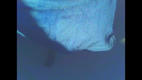 Snapshot of hardning chatting on December 28, 2024, 5:12 am hardning online show from December 28, 2024, 5:12 am