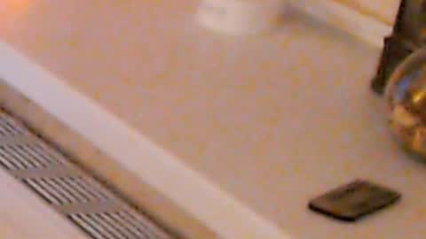 Snapshot of heaven_chloe chatting on January 4, 2025, 2:14 am Heaven girl online show from January 4, 2025, 2:14 am