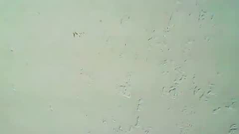 Snapshot of hhhjnf1 chatting on September 20, 2025, 3:07 am hhhjnf1 online show from September 20, 2025, 3:07 am